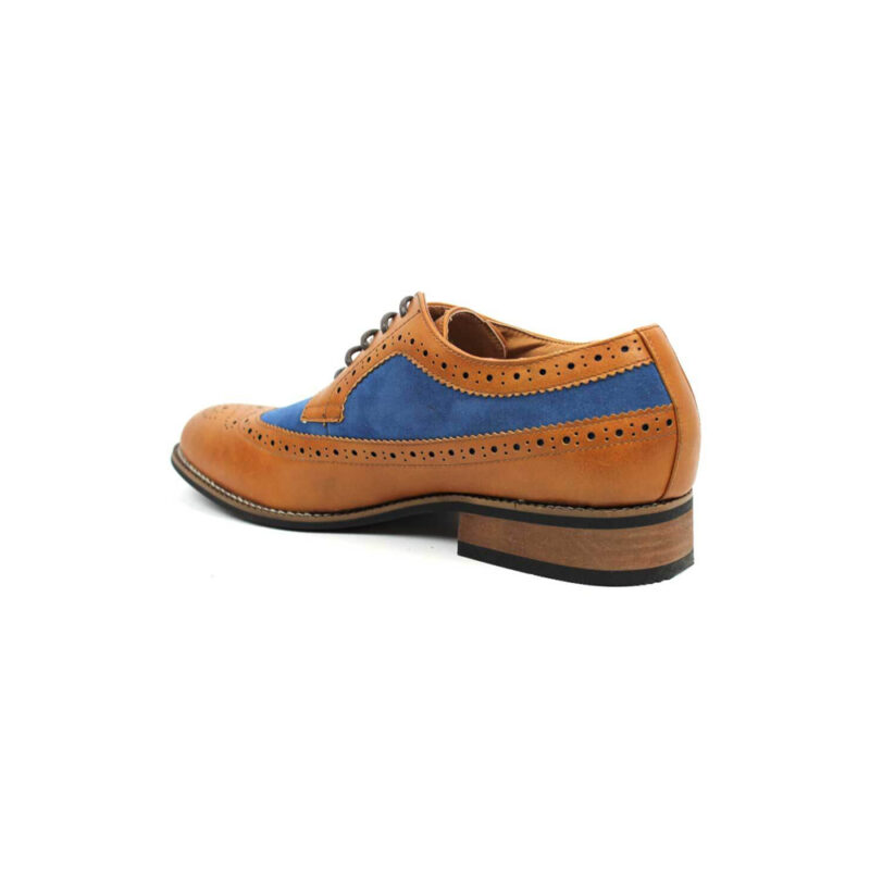 brown and blue wingtip shoes