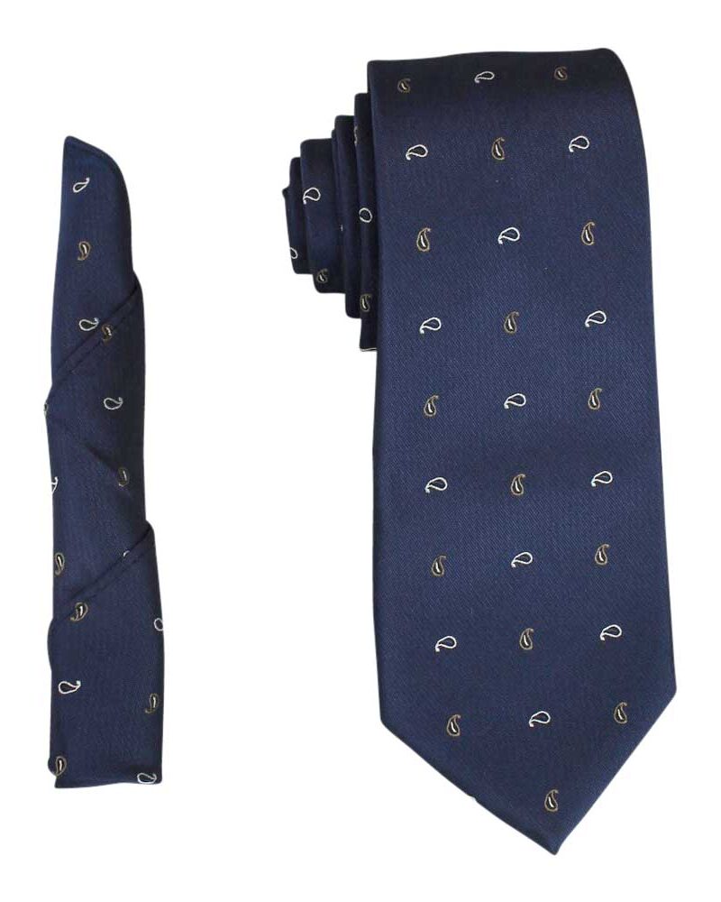 Blue White Gold Paisley